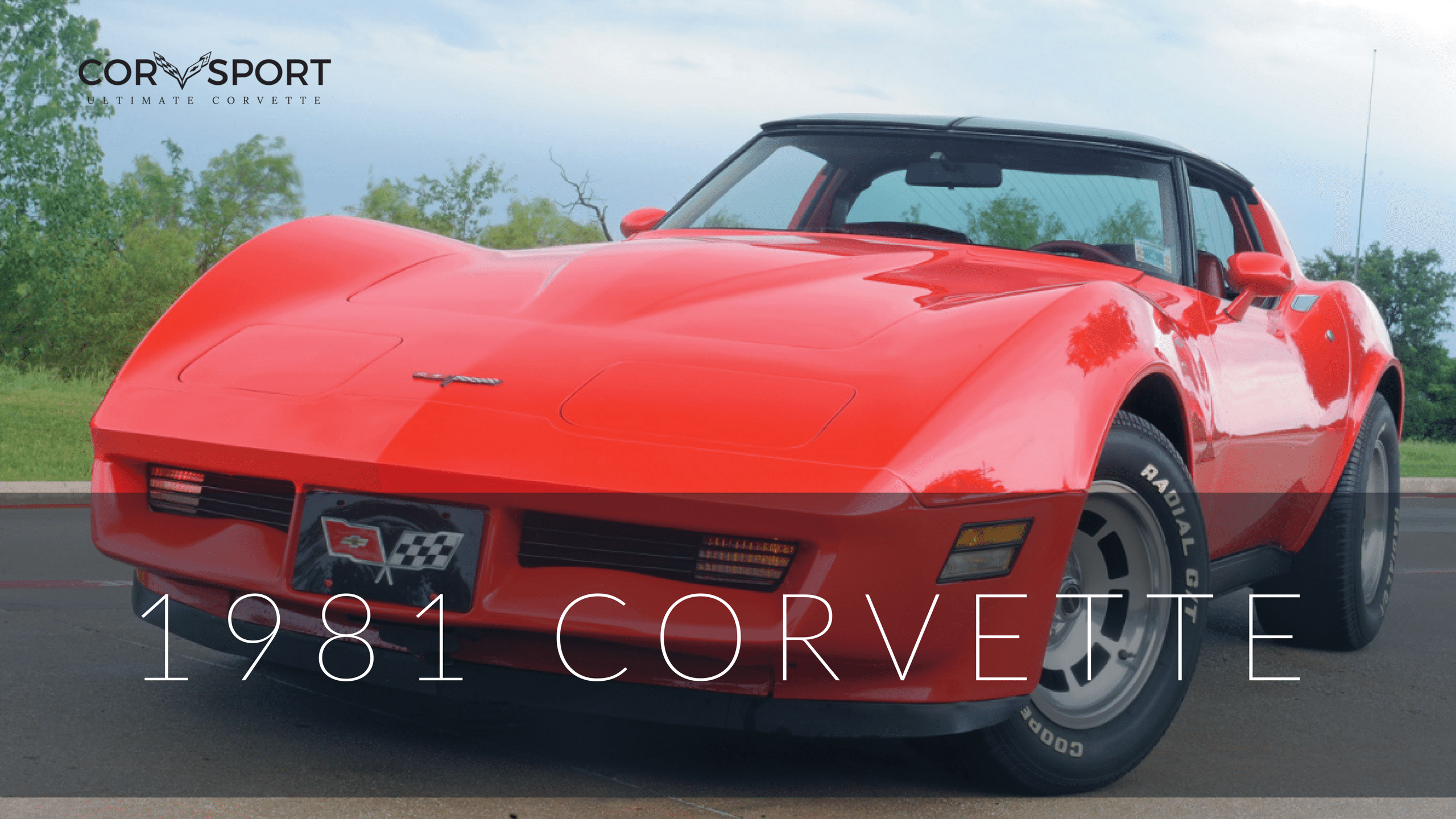 1981 C3 Corvette Ultimate Guide Overview Specs Vin Info