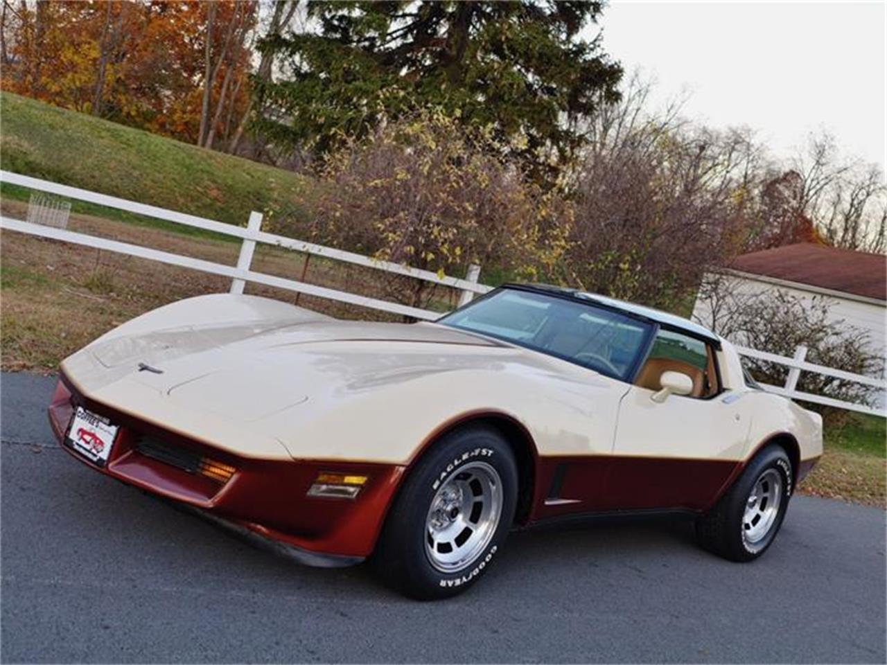 1981 Corvette