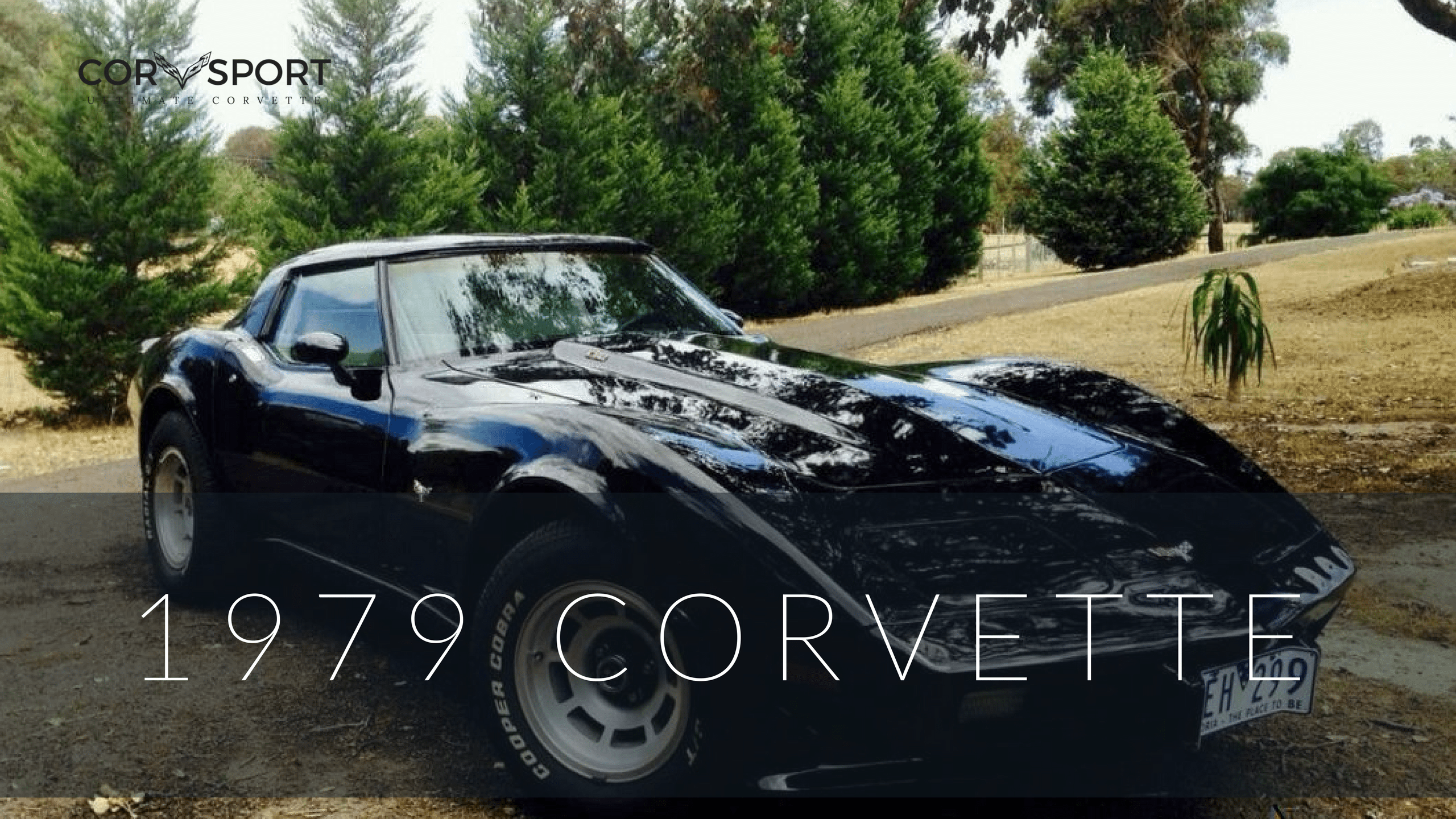 1984 thru 1993 Corvette Interior Screw Kit NEW