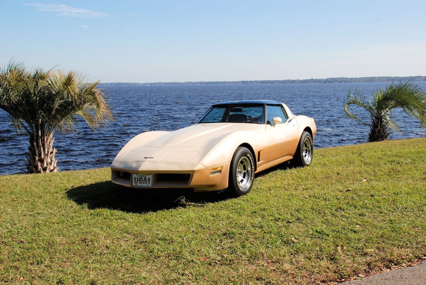 1981 Corvette