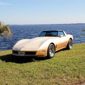 1981 Corvette