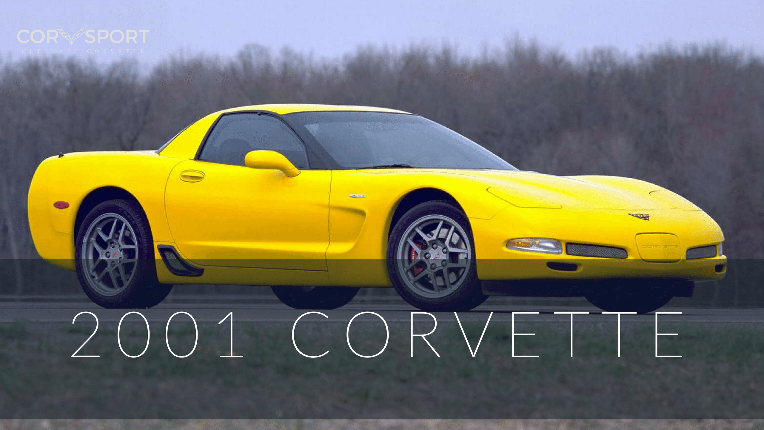 2001 C5 Corvette Ultimate Guide Overview Specs Vin Info