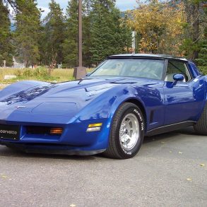 1981 Corvette