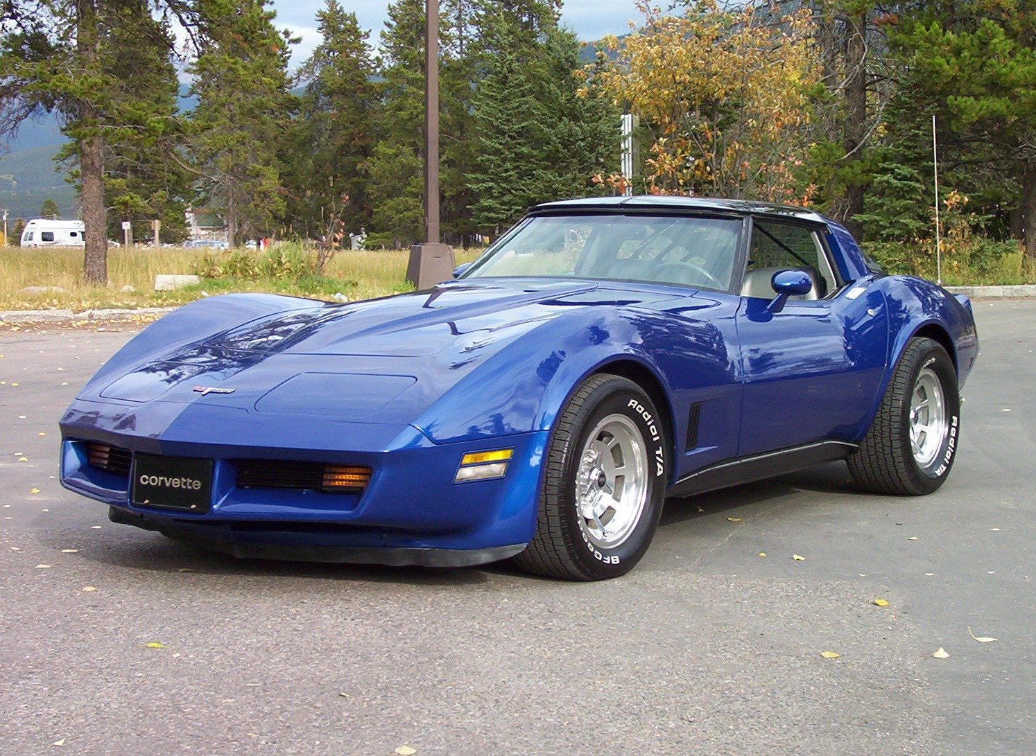 1981 Corvette