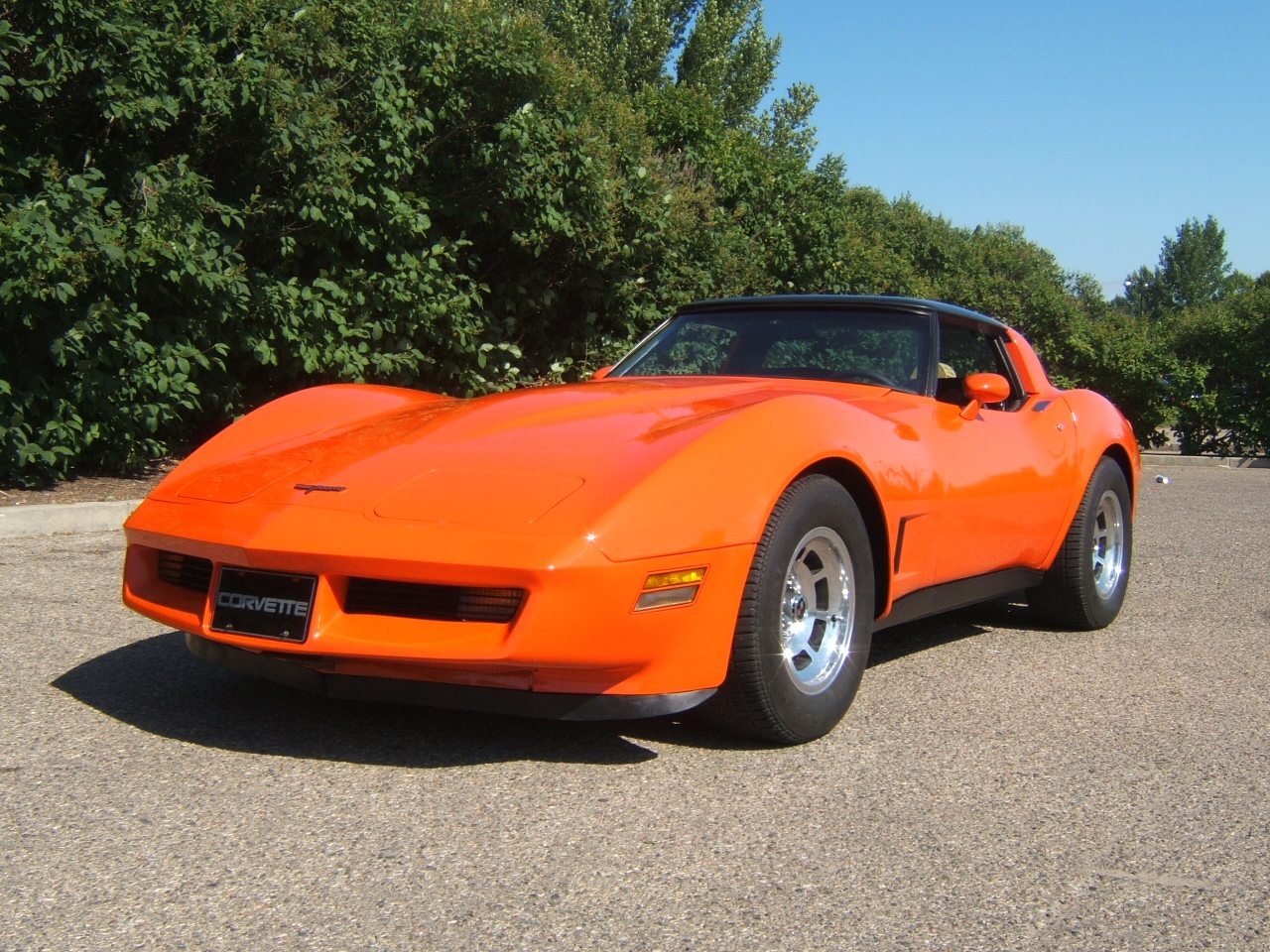 1981 Corvette