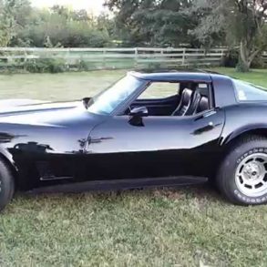 1981 Corvette