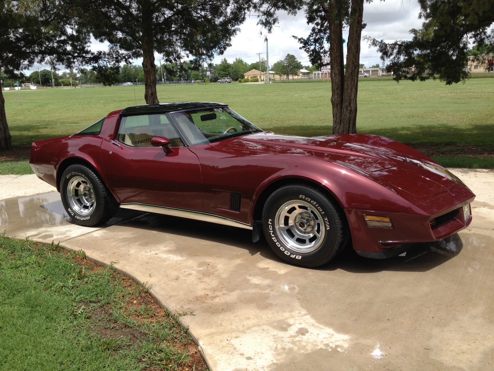 1981 Corvette