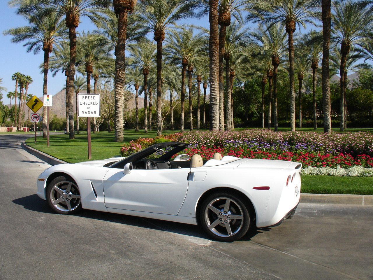 2008 Corvette