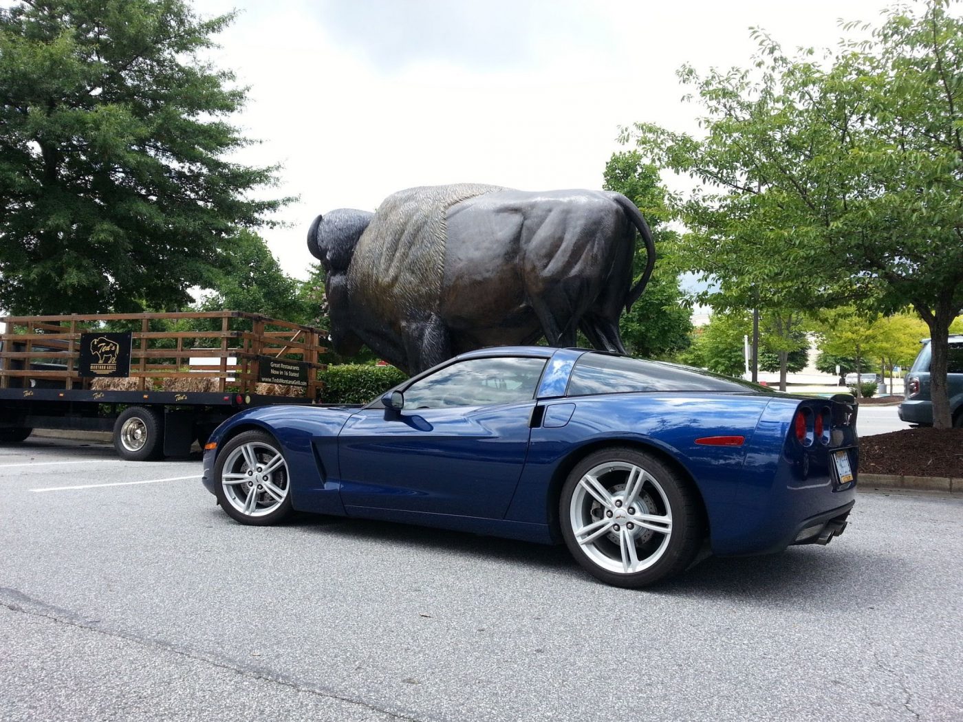 2009 Chevrolet Corvette