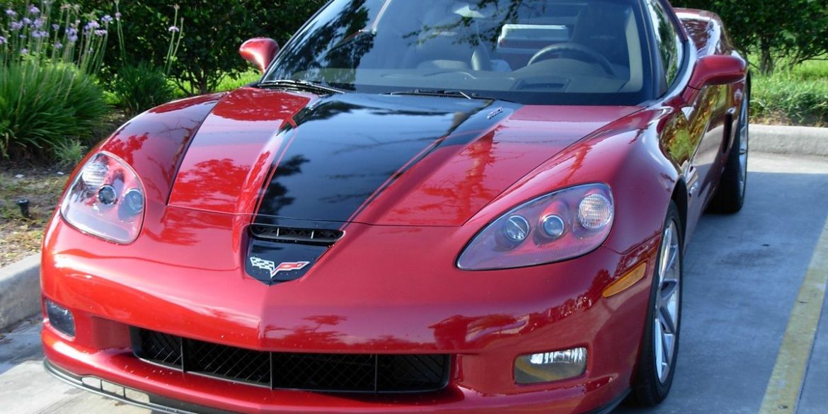 2008 Will Cooksey Special Edition
