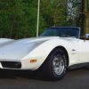 1973 Corvette