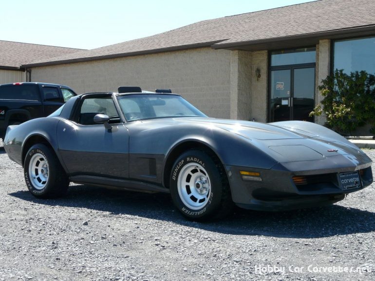 1982-1982 Corvette Interior Dye Charcoal Quart - CA main image 1