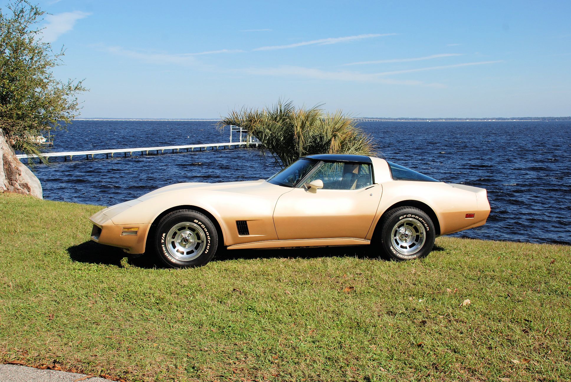 1981 L81 Corvette