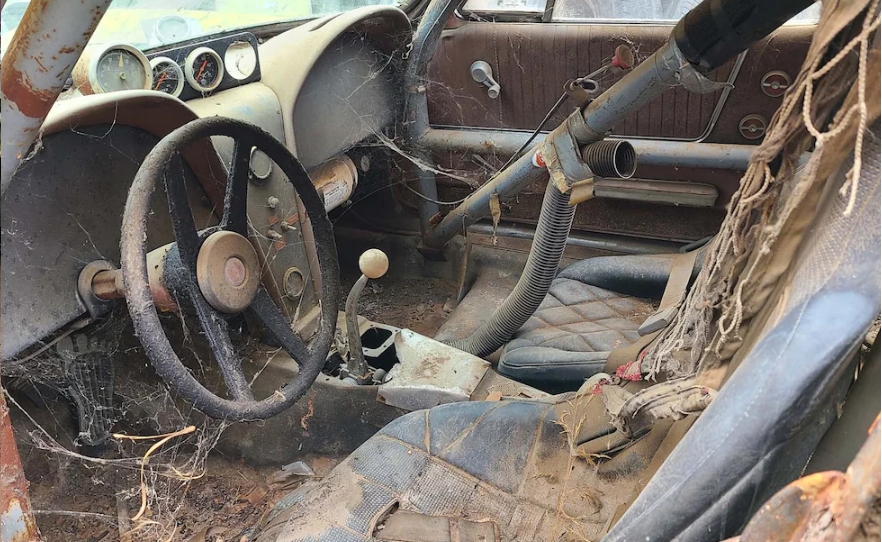 The interior of LLoyd's 1963 Corvette became the home to countless critters - from mice, to rats, to raccoons.