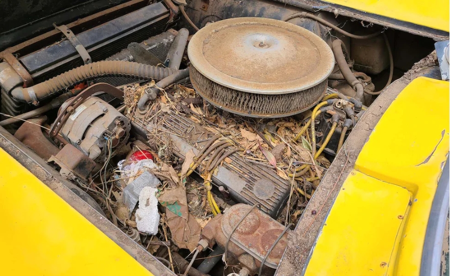 Although it has seen better days, Evans is confident that he can resurrect this 1963 Corvette race car.