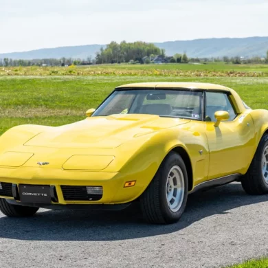 1979 Corvette